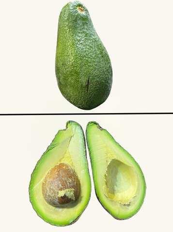 AVOKADO